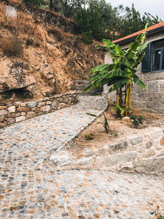 Quinta Do Fojo Valonguinho, Barro Bed & Breakfast Barro  Exterior foto
